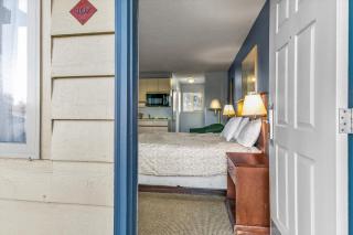 Pet Friendly Studio Condo with King Bed and Kitchenette - Pool and Hot Tub - 4