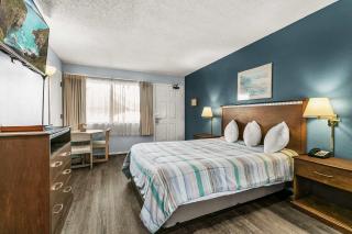 Pet-Friendly Ground Floor Studio with Kitchenette - Pool and Hot Tub - 0