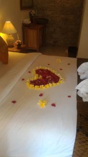 Umah Dajane Guest House - Ubud - 5