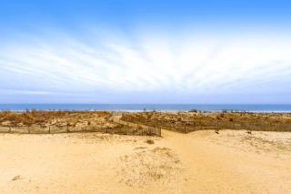 Misty Sea 104 - 8