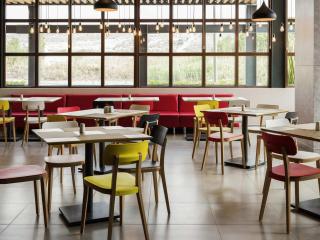 Ibis Irapuato - 9