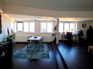 Lux Apt - Loft with View of the Center of Prague - 4