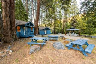 Sequoia Meadows Fire Pit + Hot Tub + AC - 9