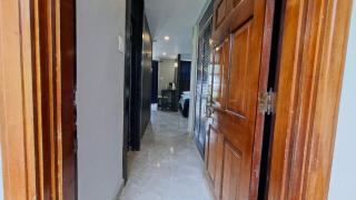 Studio Suite 11 - 0