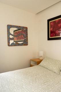 Newly remodeled, cozy and modern Condesa apartment - 5