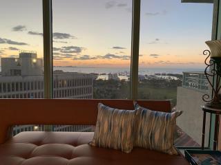 Luxury, Style and Amazing views in Miami - 7