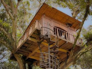Casa del Árbol Colombia - 5