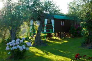 Azienda agricola Della Mezzaluna - Stiava - 3
