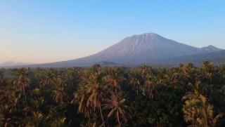 Vela Tianyar Boutique Resort By Dhananjaya Hospitality - 5