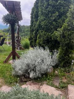 Apartmani Lunija - 8