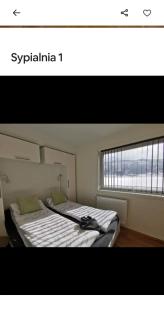 Apartment with terrace, pool, sauna, and free parking - 8