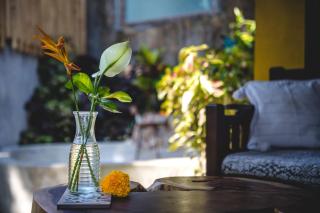 1BR in the heart of Ubud - Tiny Bali Sanctuary - Ubud - 8