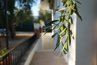 Olive&Sea Villa-SEA - 9