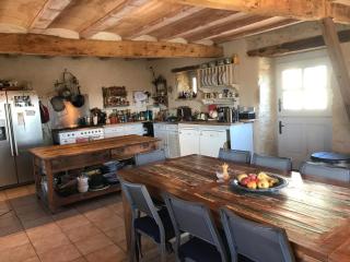 Villa - Mas de campagne prestigieux- Authentic french countryhouse in dream countryside - 8