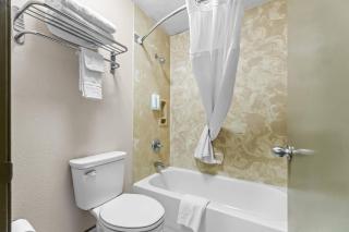 Econo Lodge Greenville - 3