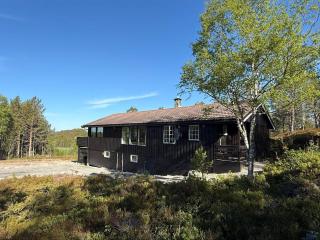 8 person holiday home in Hellandsjøen - 0