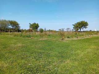Emplacement tente chez l'habitant - 4