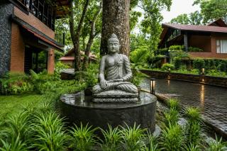 Athirapilly Fernvalley Resort - 8