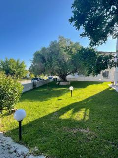 Alexandros Apartments - 7