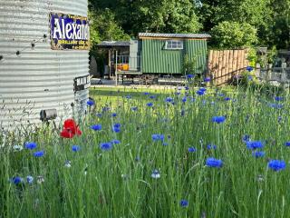 The Old Forge Glamping and Cottage Stays - 9