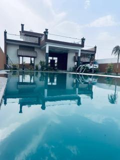 The Jungle Retreats - 4