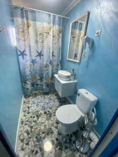 Casa tanase - 4