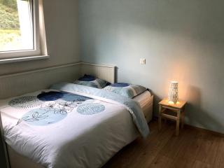 Cozy apartment surrounded by nature, Vosges - 3