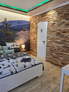 Gästehaus an der Bode inkl Frühstück aufs Zimmer wahlweise mit Halbpension PLUS - Braunlage - 2