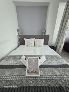 Park Apartman - 8