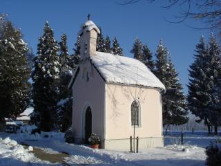 Pension Gut Horn - Waging am See - 7