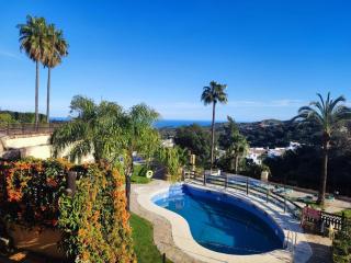Luxurious apartment in La Mairena - 6