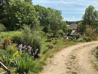Chez Rose-Laure - 8