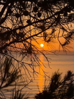 Sunset Residence in Sounio - 6