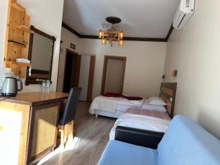 Mersu Ala Konak Otel Sapanca - 3