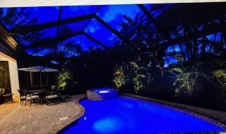 Tropical Oasis - 0