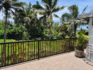 Bali View Ubud Hotel - 5