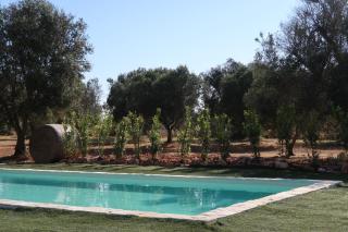 Dimora Deserto - Ancient Trullo with Private Pool and Olive Grove - 8