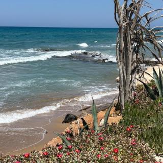 Anastasia Suite Of The Sun&Sea - 6
