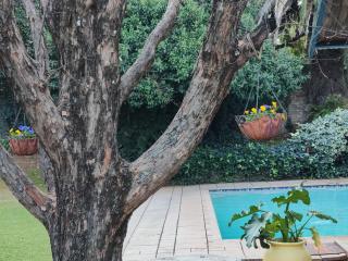 BEE-autiful Stay SC Garden Cottage - Bloemfontein - 6