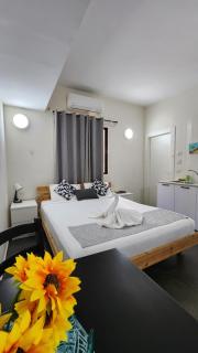 David Hameleh House - 6