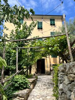 Casa Limone - 7