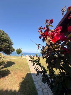Villa Nikoleta - Beach Front luxury villa with beach access - 2