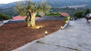 Home Dimitra - 4