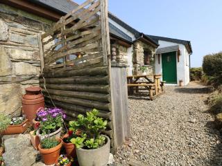 Ysgol Hill Cottage - 1