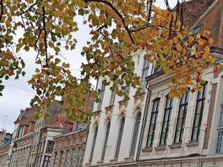 3 petits chats dans le Vieux Lille - 6