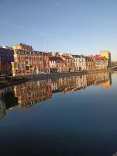 3 petits chats dans le Vieux Lille - 9