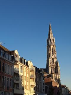 3 petits chats dans le Vieux Lille - 5