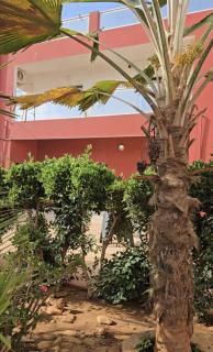Paradise - 5