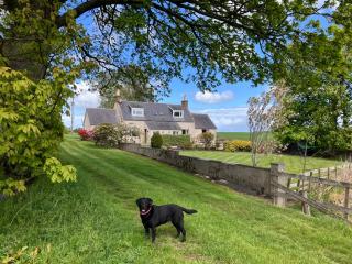 Westlea Cottage - 2