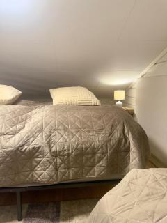 Hills Cottage - 5